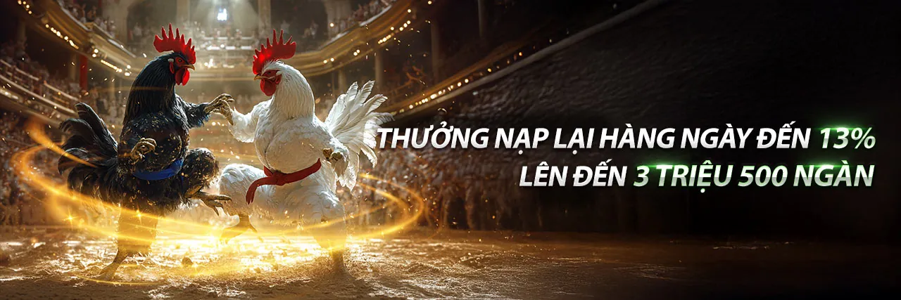 Đá Gà Trực Tuyến Hấp Dẫn tại vin777vin nhà cái